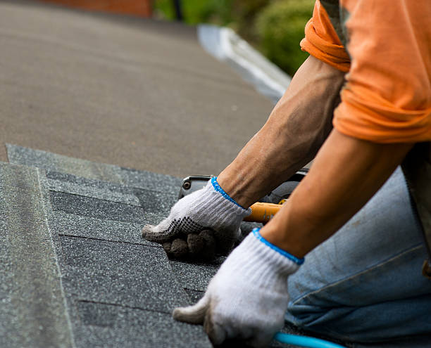 Best Roof Replacement Cost  in Daleville, IN