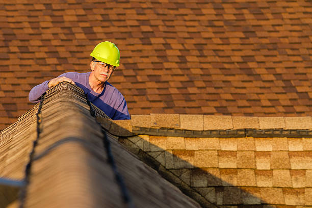 Best Metal Roofing Contractor  in Daleville, IN