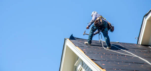 Best Roof Leak Repair  in Daleville, IN